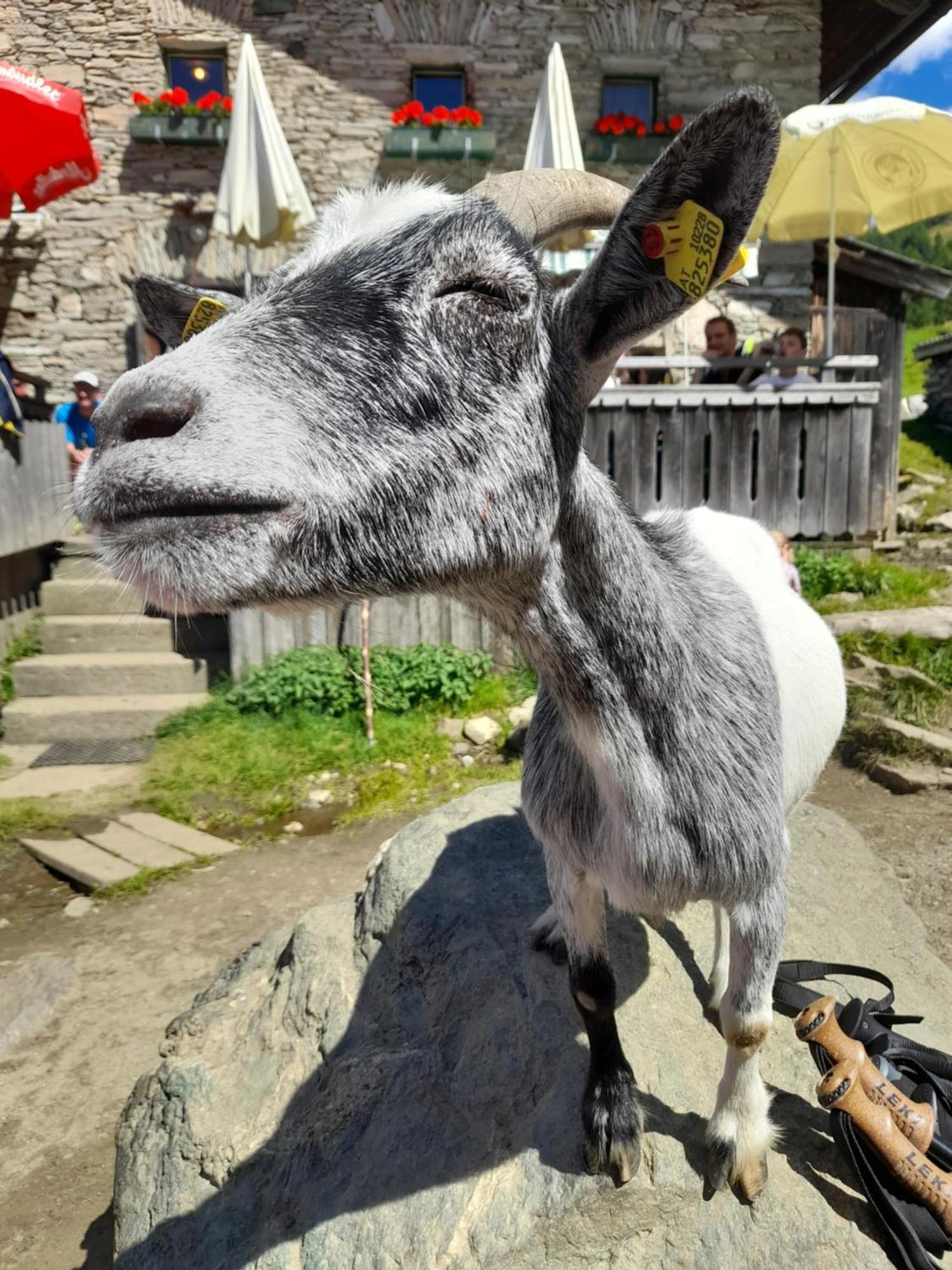 Ferienhaus Grofn Matrei in Osttirol Exteriör bild