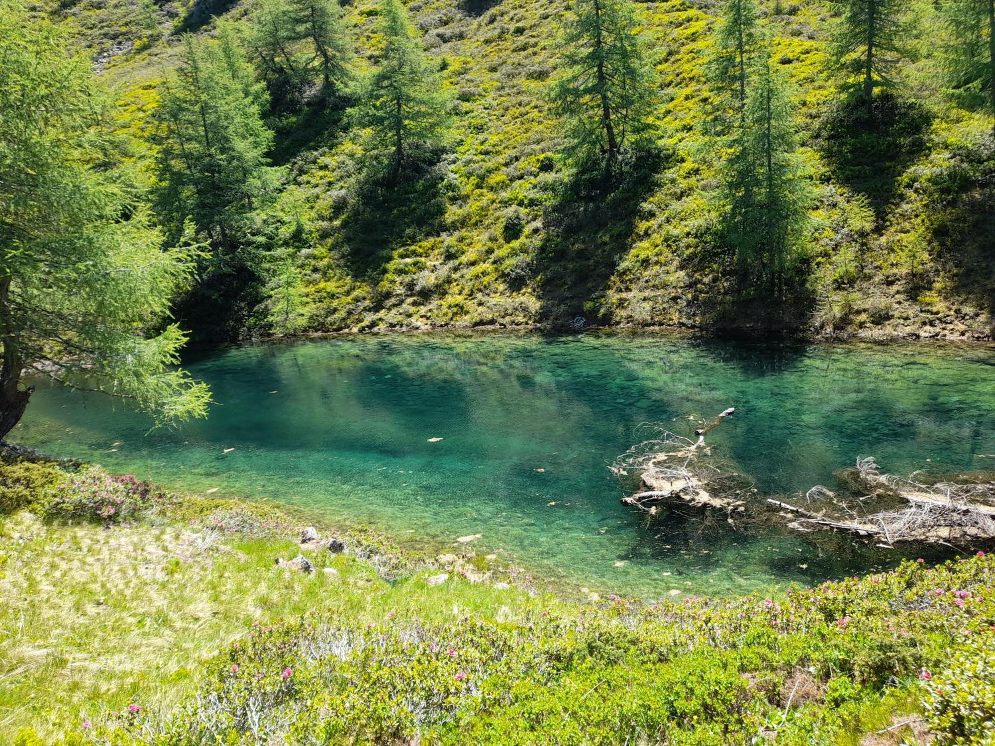 Ferienhaus Grofn Matrei in Osttirol Exteriör bild